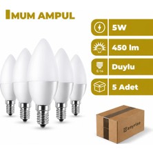 Zeyrise 5 W. LED Mum Ampul 6500K Beyaz Işık 5'li Paket