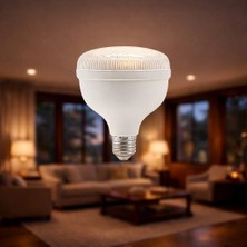 Cata CT-4135 Kristal Torch