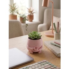 Kahve Içen Sevimli Figürlü Mini Sukulent ve Kaktüs Saksısı 8x6 cm Masaüstü Ofis Dekorasyonu