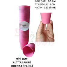 20 Adet Kaktüs&sukulent Üretim Saksısı 1.kalite (Mini Boy-5.5 Cm)