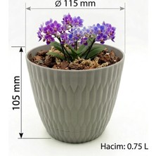 Çiçek Saksısı, Küçük, Altlıklı, 10 cm Bitki Saksısı, Plastik, Dekoratif Bitki Saksısı, Renkli, Mini Saksı, Plastik, Küçük Çiçek Saksısı, Iç ve Balkon Bitkileri Için
