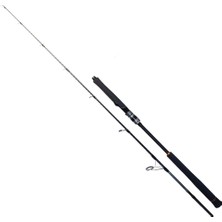 Ryuji Seawolf 1.98M 30-150GR 2p Jig Olta Kamışı