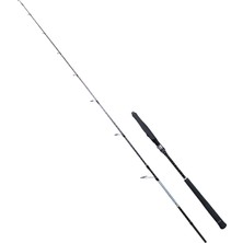 Ryuji Seawolf Plus Fuji 1.98M 30-150GR 2p Jig Olta Kamışı