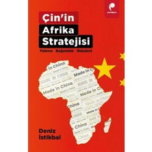 Çin’in Afrika Stratejisi