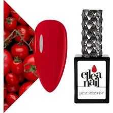 Toptan Budur 2501 Numaralı 15 ml Kalıcı Oje