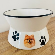 Yükseltilmiş Mama ve Su Kabı Pomerania Yükseklik 9.5cm Genişlik 16CM Hacim 600ML