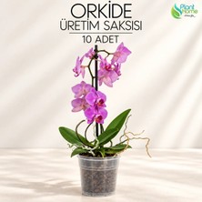10 Adet Orkide Üretim Saksısı - Plastik Şefaf Orkide Üretimine Uygun Saksı