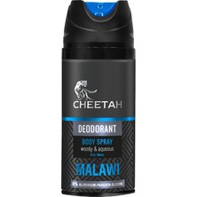 Str Store Malawı Woody & Aqueous Erkek Deodorant 150 ml