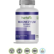 Herbina Magnezyum Sitrat 500 Mg 120 Tablet