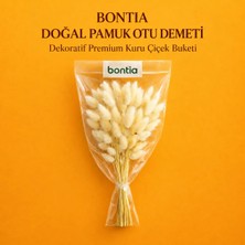 Bontia Doğal Pamuk Otu Demeti – Dekoratif Kuru Çiçek, Uzun Ömürlü Premium Lagurus