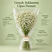 Bontia Gerçek Şoklanmış Büyük Cipso Demeti – Doğal Beyaz Dekoratif Çiçek, Uzun Ömürlü Premium Demet