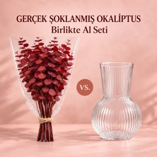 Bontia Kızıl Şoklanmış Gerçek Okaliptüs ve Cam Vazo Seti – Doğal Kokulu, Uzun Ömürlü Dekoratif Set