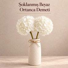 Bontia Şoklanmış Beyaz Ortanca Demeti – Uzun Ömürlü, Bakım Gerektirmeyen Dekoratif Hediye