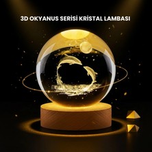Hace Bazaar LED Işıklı Yunus Küre Ahşap Standlı Modern Dekoratif Aksesuar