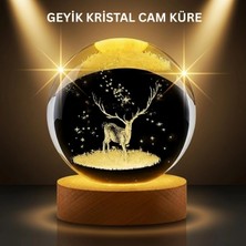 Hace Bazaar LED Işıklı Geyikli Kristal Küre Ahşap Standlı Modern Dekor Lamba