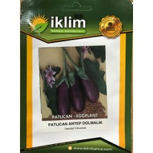 Karahasanoğlu Tarım Patlıcan Tohumu Antep Dolmalık - 10 g (~ Takribi 1300 Tohum)