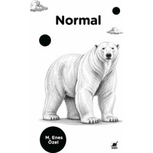 Ayrıntı Yayınları Normal M. Enes Özel