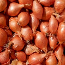 Karahasanoğlu Tarım YERLİ ARPACIK SOĞAN 5 NUMARA (500 GR)