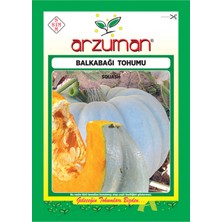 Karahasanoğlu Tarım Bal Kabağı Tohumu 10 gr Ort 25 Ad Tohum