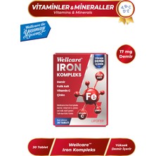Wellcare Iron Kompleks Demir Vitamin C , Çinko ve Folik Asit Içeren Takviye Edici Gıda - 30 Tablet