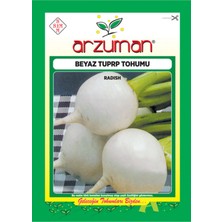 Karahasanoğlu Tarım Beyaz Turp Tohumu 25 gr Ort 2250 Ad Tohum