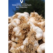Karahasanoğlu Tarım Tohumluk Taşköprü Sarımsağı 100 Gr