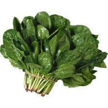 Karahasanoğlu Tarım Yerli Ispanak Tohumu - 250 Gr (ort 20000 Ad)