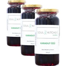 Soul Kıtchen Gurme Karadut Özü 315GR (3 Paketi)