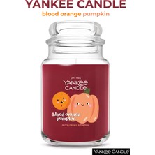 Yankee Candle Blood Orange Pumpkin Kokulu Mum - 623 G (22OZ) - Kan Portakalı ve Balkabağı Aromalı Büyük Kavanoz Mum