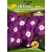 Mine Çiçeği Tohum-3 Mor-Beyaz (Takribi 40 Adet Tohum)