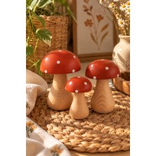 3 Lü Set Kırmızı Uğurlu Mantar