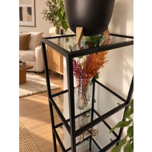 Teknor Gold Çerçeveli Şeffaf Cam Modern Salon Kitaplığı 40 cm