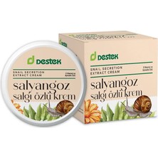 Destek Salyangoz Salgı Özlü Krem 45 Ml.
