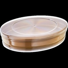 Mayer Plastik Melody Plastik Kapaklı Kutu 250 cc - (360 Adet)