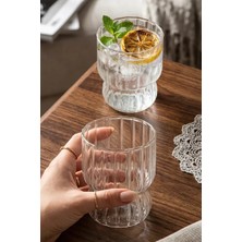Vivien Home 300 ml Borosilikat Cam Bardak - Isıya Dayanıklı Meşrubat ve Kahve Bardağı