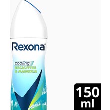 Str Store Thermocool Kadın Sprey Deodorant Eucalyptus & Magnolia 150 ml