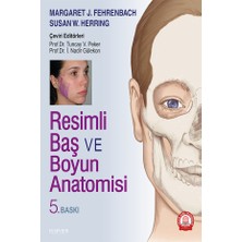 Ankara Nobel Tıp Kitabevi Resimli Baş ve Boyun Anatomisi İsmail Nadir Gülekon 5. Baskı Türkçe Eğitim Düzeyi 370 Sayfa