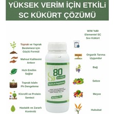Sağlam Tarım Sıvı Kükürt S80 (%80 Kükürt - Sc Formülasyonlu) 1 Lt.