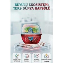 Farbu Oyuncak Clemento-Ni Ekosistem Dünya Kapsülü Ters Yüz Tasarımlı Gerçek Bitki Yetiştiren Oyucak Yapım Kiti