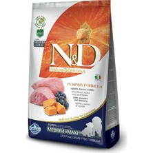 N&D Nd Pumpkin Puppy Medium Maxi Bal Kabaklı Kuzu Etli Yavru Köpek Maması 12 kg