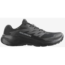 Salomon Alphaglıde Gore-Tex Erkek Ayakkabısı L47802100