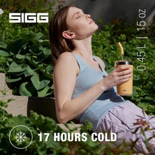 Str Store 6014.90 Helia 0,45LT Çelik Termos, Somon
