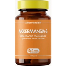 Akkermansiam-S Akkermansia Muciniphila İçeren Takviye Edici Gıda 60 Kapsül Probiyotik ve Prebiyotik