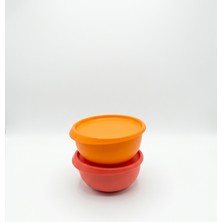 Tupperware Yonca Saklama Kabı 2'li Set (2 x 550 Ml)