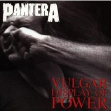 Plak İstasyonu (Müzik CD Sidir - Plak Değildir) CD Pantera Vulgar Display Of Power CD