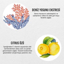 Str Store Seaweed Citrus Nemlendirici ve Besleyici Vücut Losyonu 250 ml