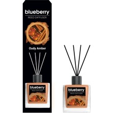 Blueberry Oudy Amber Reed Diffuser 100 ml BBCN000724