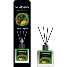 Blueberry Citrus & Spice Reed Diffuser 100 ml BBCN000722