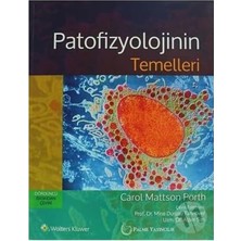 Str Store Patofizyolojinin Temelleri