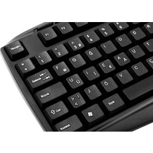 Str Store KB-250F Siyah USB Tamamen Türkçe F Multimedia Klavye